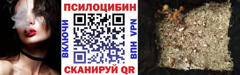 как найти наркотики  Ахтубинск  Галлюциногенные грибы MAGIC MUSHROOMS 