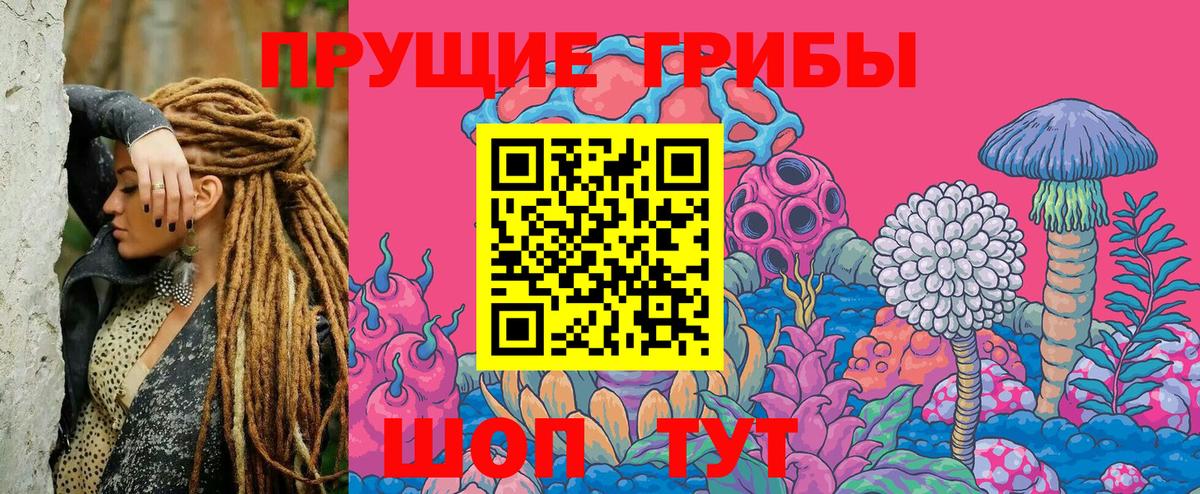 Ахтубинск  Псилоцибиновые грибы мицелий  Вход с VPN 