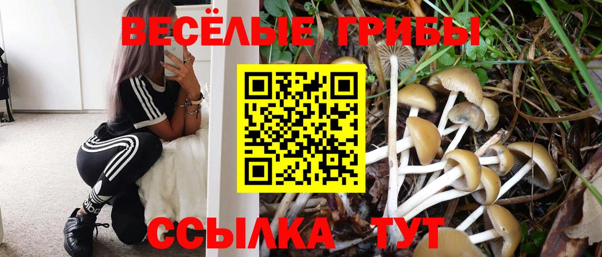 Псилоцибиновые грибы мицелий Ахтубинск